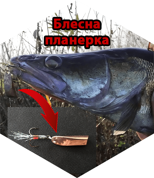 Блесна планерка. Ловим судака