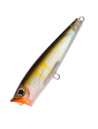 category