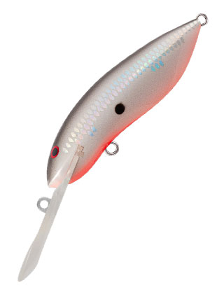 category
