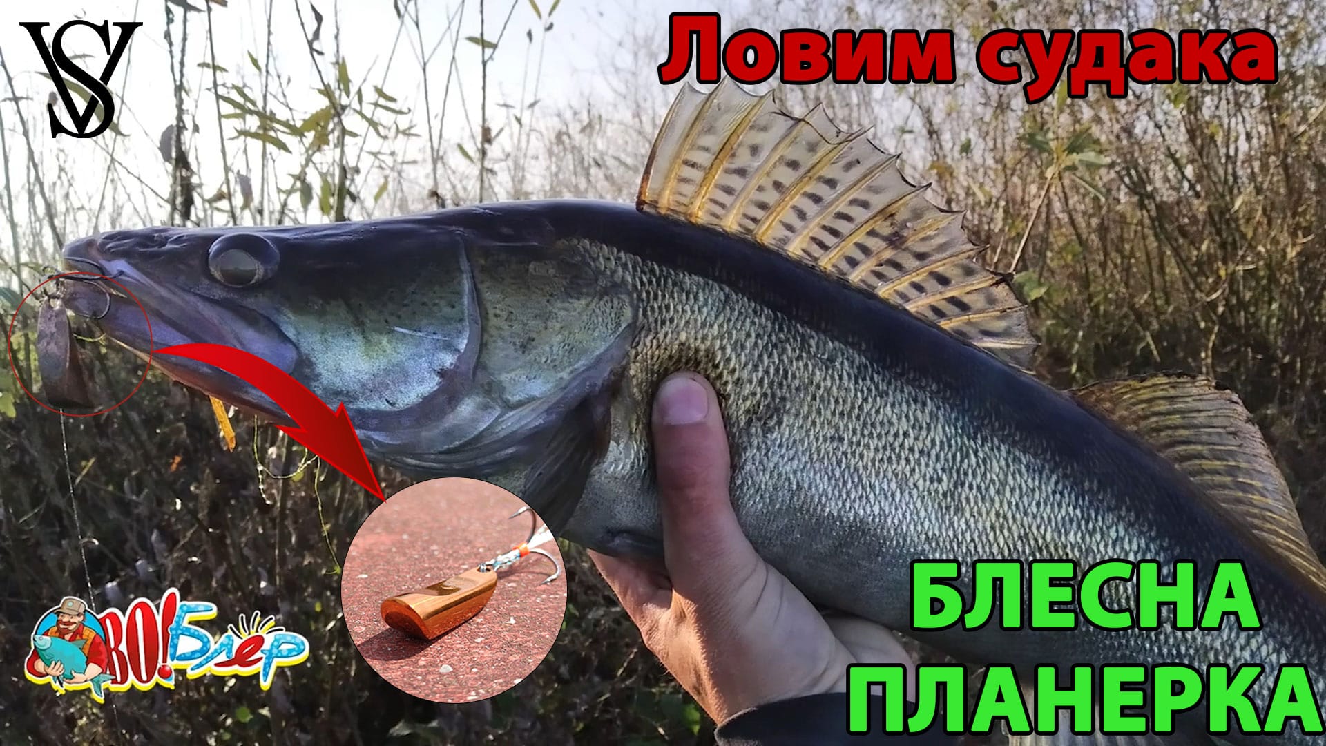 Spoon for planning. Catching walleye