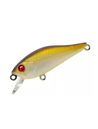 category